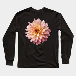 Lovely Single Chrysanthemum Long Sleeve T-Shirt